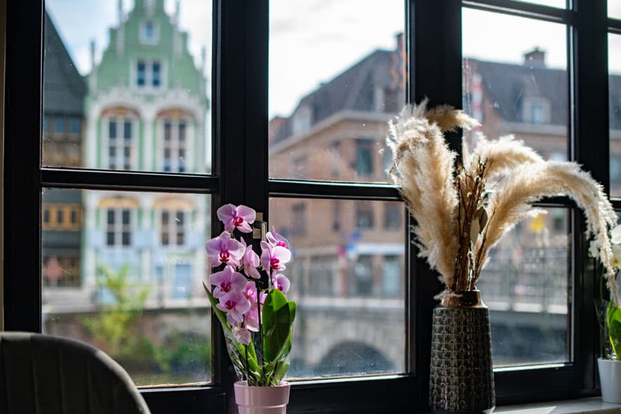 Bloemen aan het raam met zicht op de Dijle